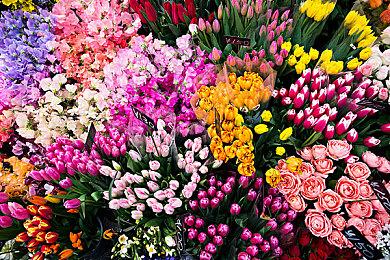 前DICE资深制作人开发的英雄团队射击游戏《心能特工》公布